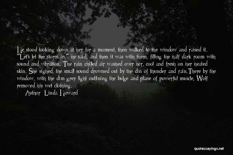 Cool Storm Quotes By Linda Howard