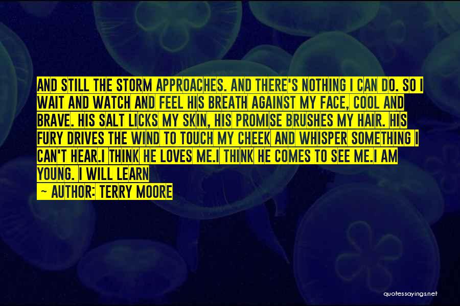Cool Storm Quotes By Terry Moore