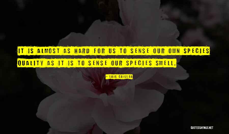 Cool Teenage Quotes By Lois Crisler Cool Teenage Quotes By Lois Crisler