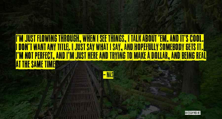 Cool Things Quotes By Nas