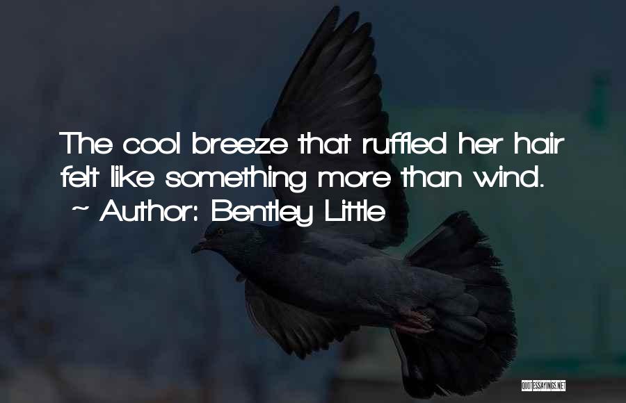 Cool Wind In My Hair Quotes By Bentley Little