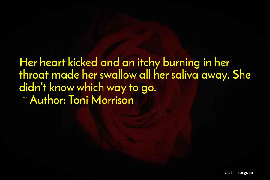 Coolbaugh Pa Quotes By Toni Morrison