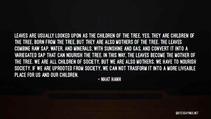 Coolman Communities Quotes By Nhat Hanh Coolman Communities Quotes By Nhat Hanh