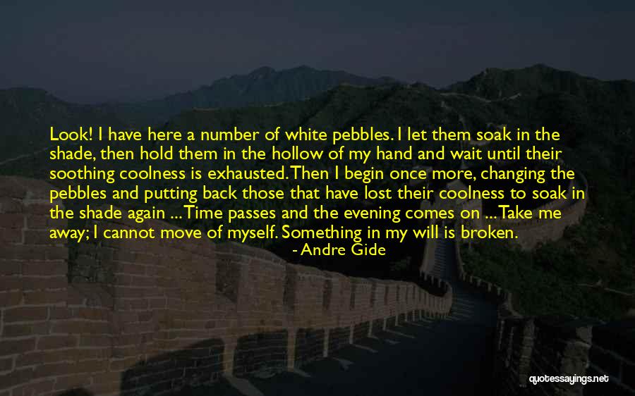 Coolness Quotes By Andre Gide