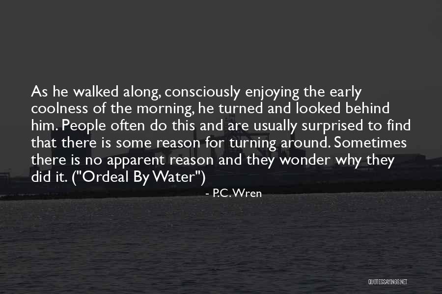 Coolness Quotes By P.C. Wren