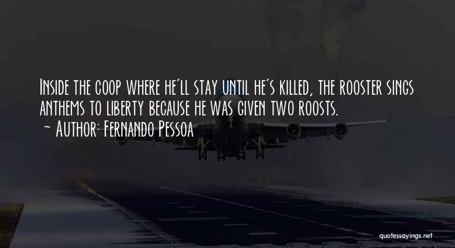 Coop Quotes By Fernando Pessoa