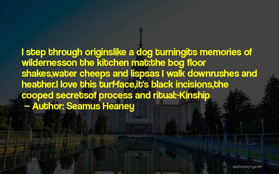 Cooped Up Quotes By Seamus Heaney