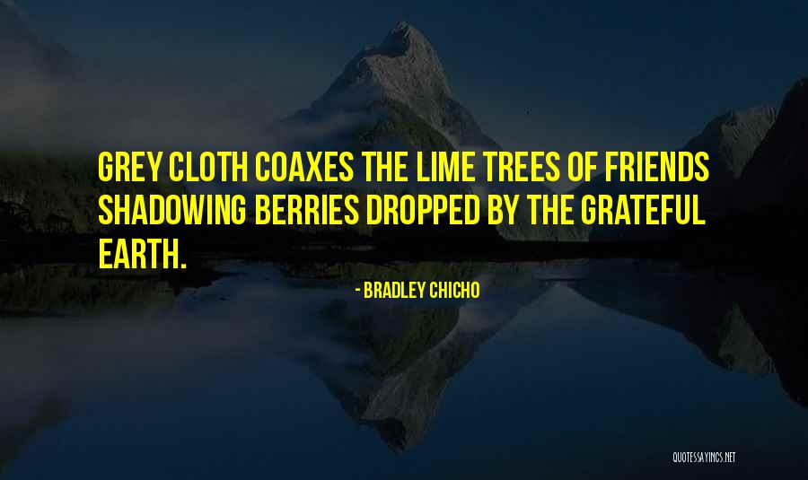 Cooperaci N Comunitaria Quotes By Bradley Chicho Cooperaci N Comunitaria Quotes By Bradley Chicho