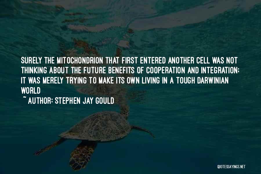 Cooperation Quotes By Stephen Jay Gould