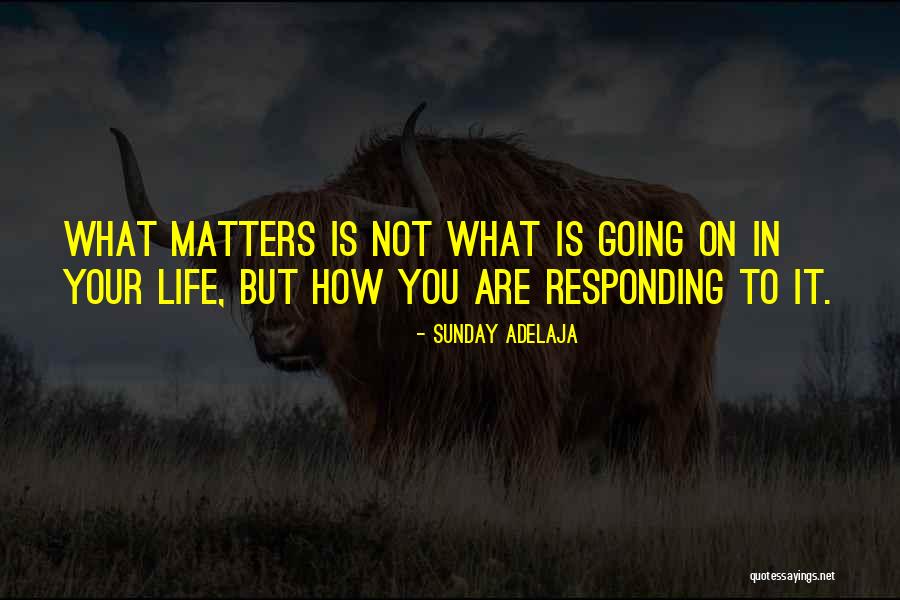 Coopersmiths Fort Collins Quotes By Sunday Adelaja Coopersmiths Fort Collins Quotes By Sunday Adelaja