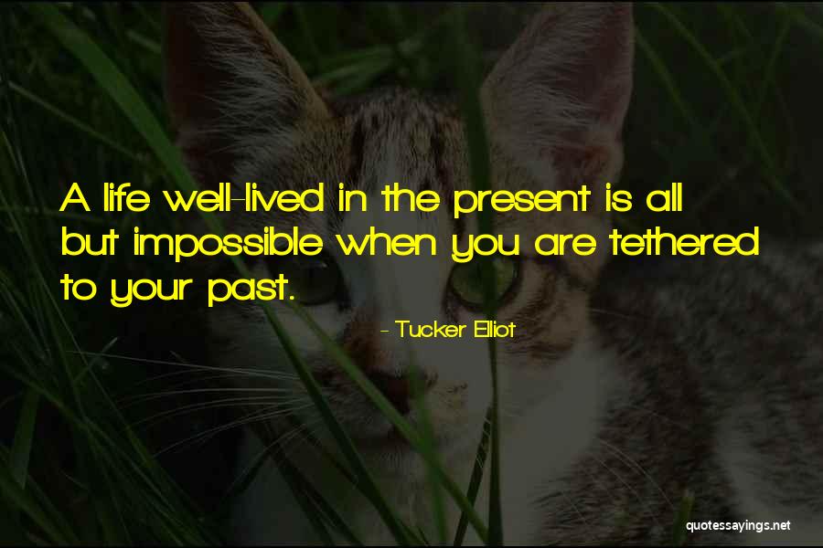 Coosje Van Bruggen Quotes By Tucker Elliot Coosje Van Bruggen Quotes By Tucker Elliot