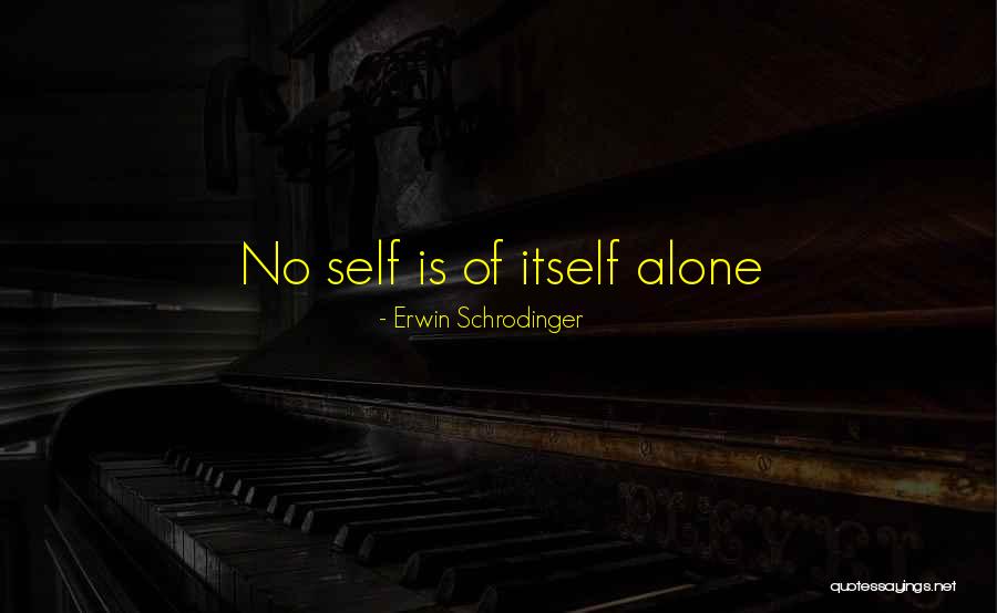 Cooters Garage Quotes By Erwin Schrodinger Cooters Garage Quotes By Erwin Schrodinger