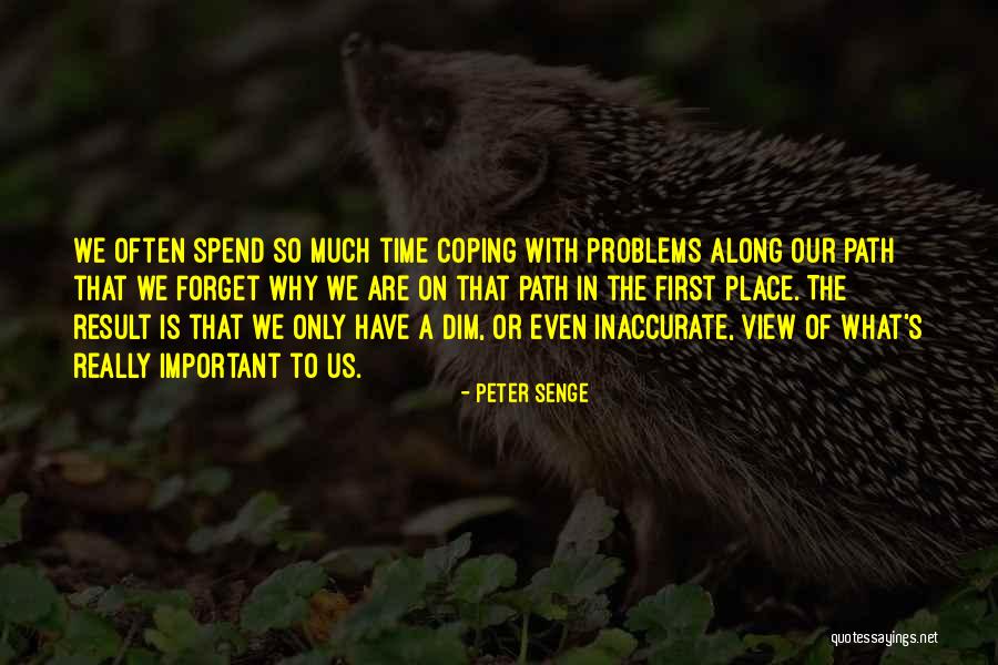 Coping With Problems Quotes By Peter Senge