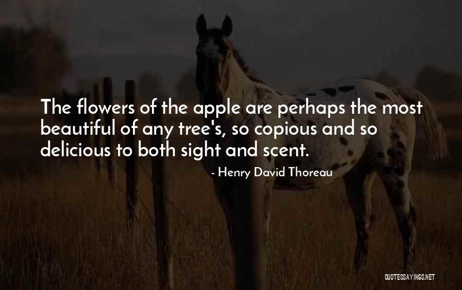 Copious Quotes By Henry David Thoreau Copious Quotes By Henry David Thoreau