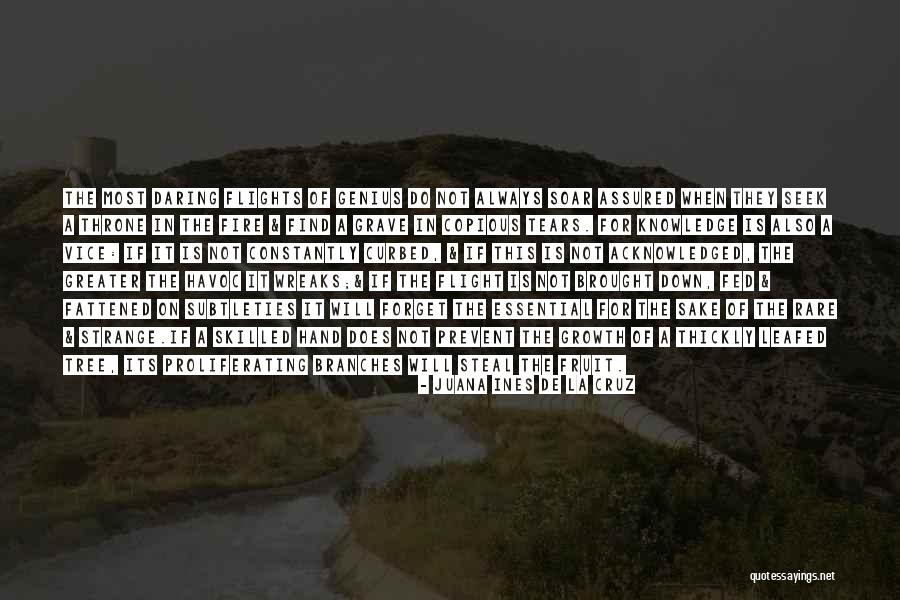 Copious Quotes By Juana Ines De La Cruz Copious Quotes By Juana Ines De La Cruz