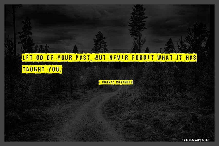 Copiously In A Sentence Quotes By Boonaa Mohammed