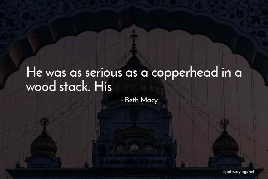 Copperhead Quotes By Beth Macy Copperhead Quotes By Beth Macy