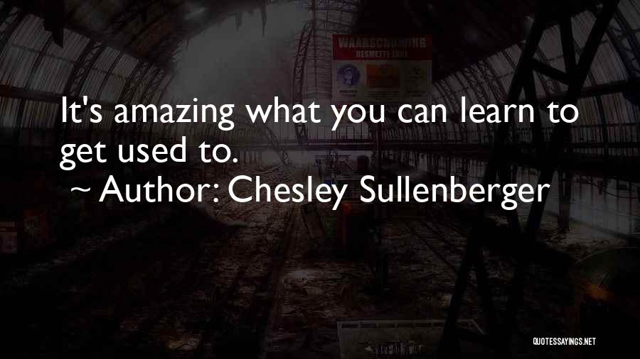 Copperhood Quotes By Chesley Sullenberger