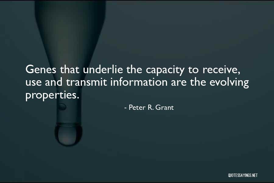 Coppini Luis Brazilian Quotes By Peter R. Grant Coppini Luis Brazilian Quotes By Peter R. Grant