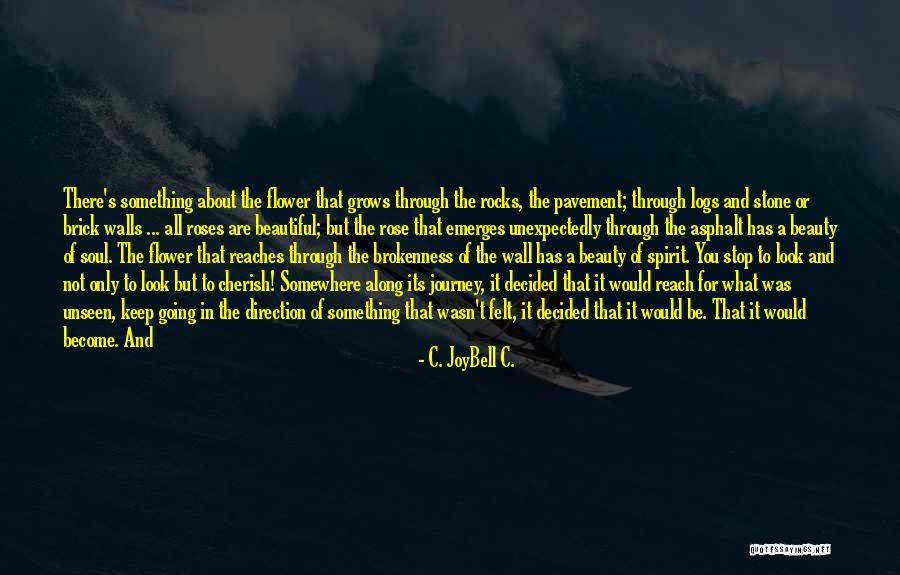 Coppolo And Coyde Quotes By C. JoyBell C. Coppolo And Coyde Quotes By C. JoyBell C.
