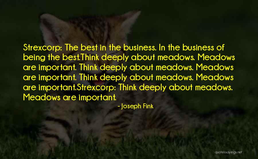 Copulatory Vocalizations Quotes By Joseph Fink Copulatory Vocalizations Quotes By Joseph Fink