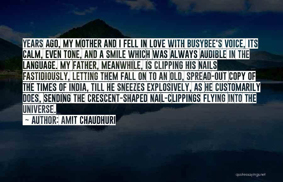 Copy Quotes By Amit Chaudhuri