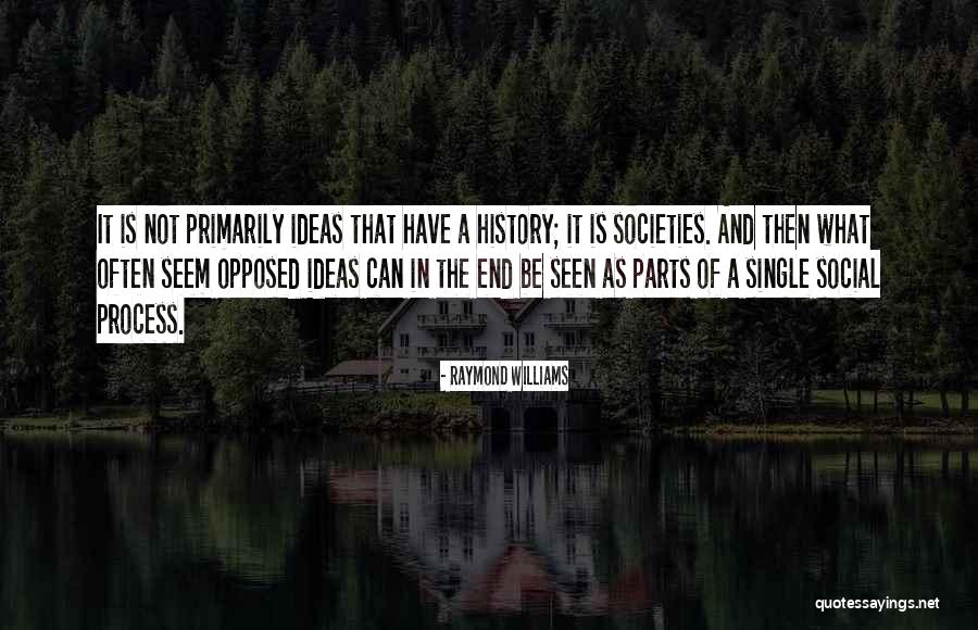 Corail Hip Quotes By Raymond Williams Corail Hip Quotes By Raymond Williams