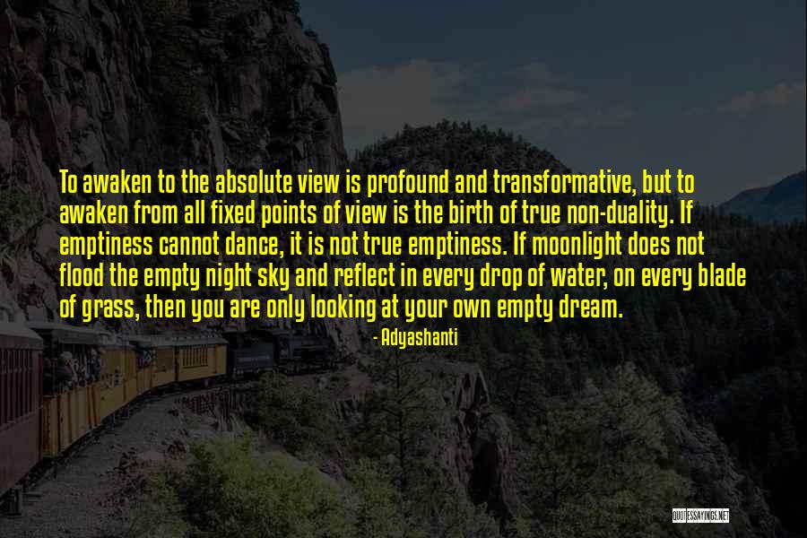 Corajosa Quotes By Adyashanti Corajosa Quotes By Adyashanti