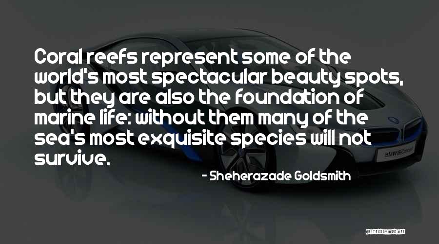 Coral Beauty Quotes By Sheherazade Goldsmith Coral Beauty Quotes By Sheherazade Goldsmith