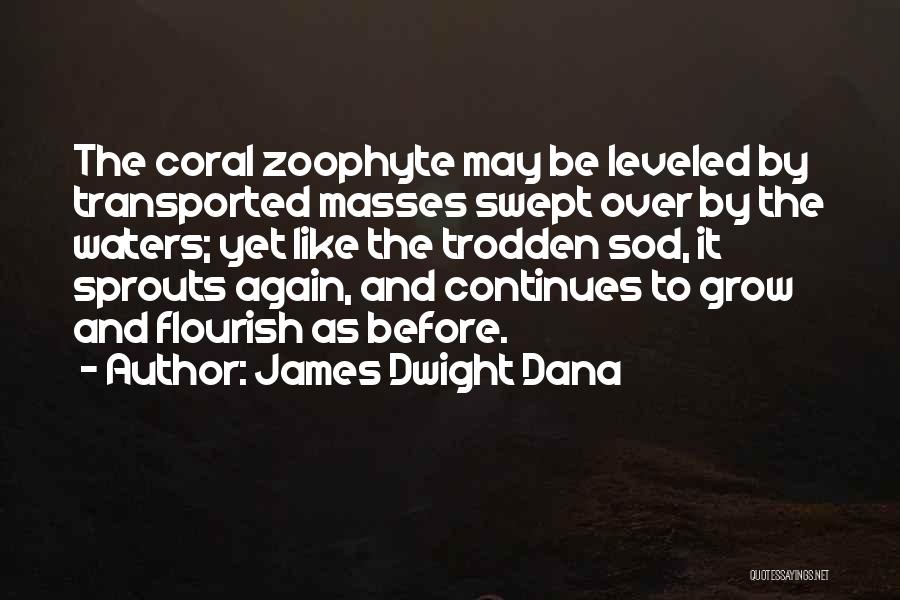 Coral Quotes By James Dwight Dana