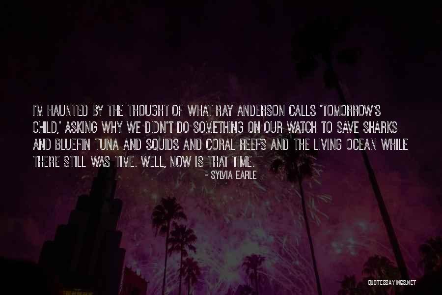 Coral Quotes By Sylvia Earle