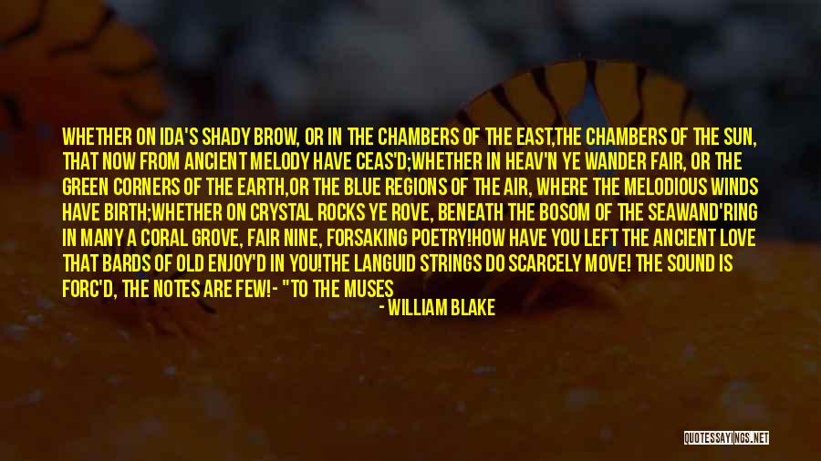 Coral Quotes By William Blake