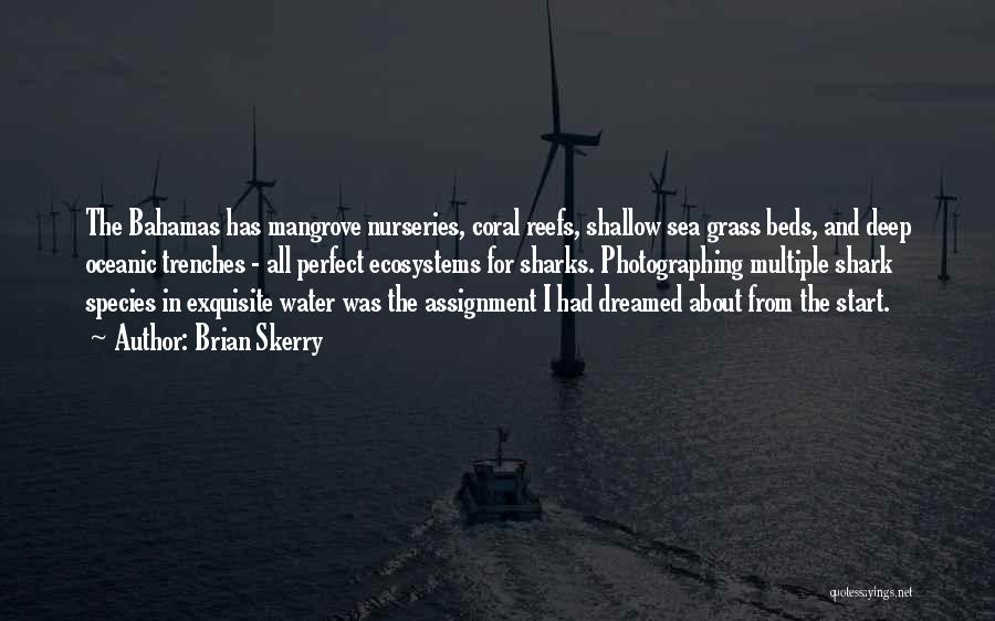 Coral Reefs Quotes By Brian Skerry