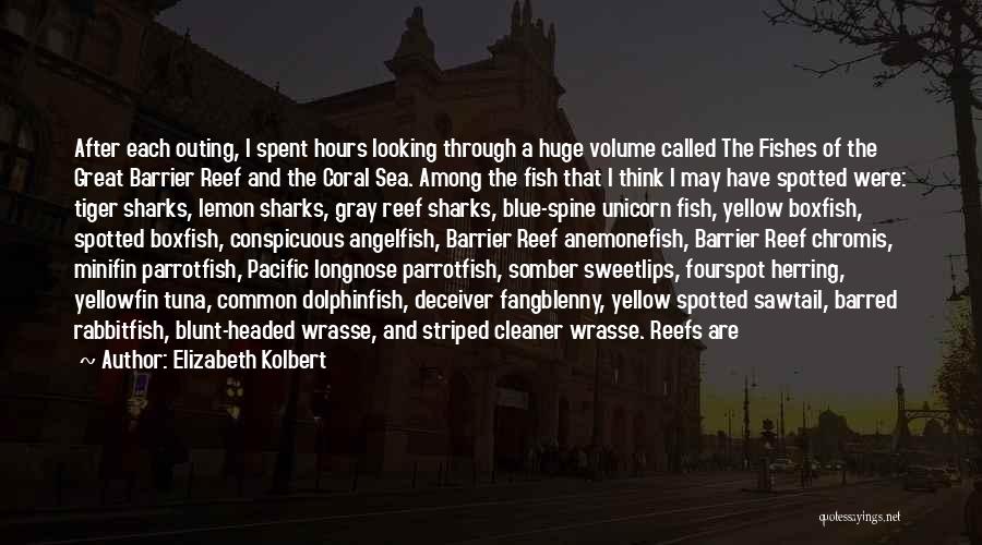Coral Reefs Quotes By Elizabeth Kolbert