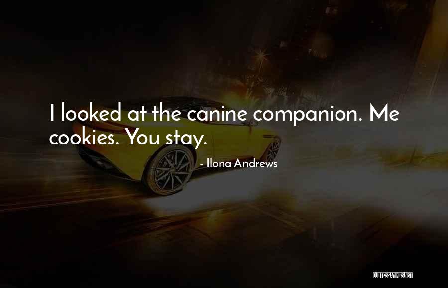 Corales Quotes By Ilona Andrews Corales Quotes By Ilona Andrews
