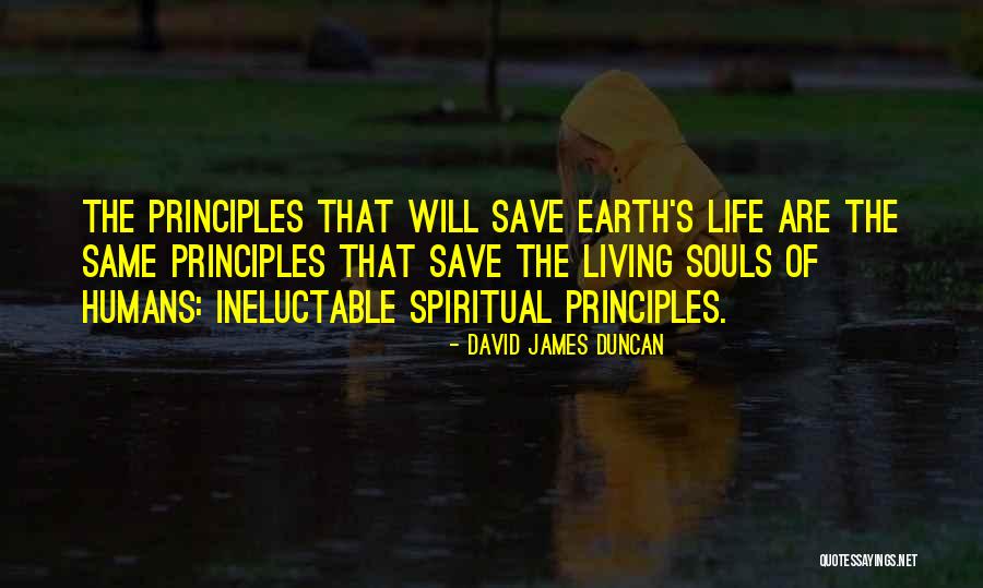 Corallimorph Quotes By David James Duncan Corallimorph Quotes By David James Duncan