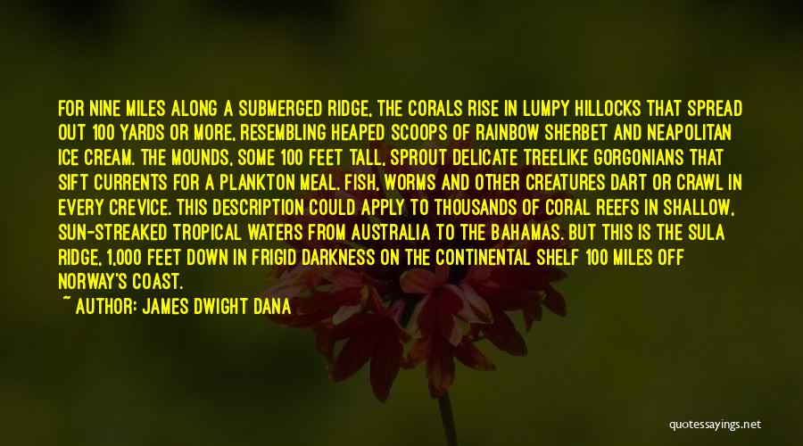 Corals Quotes By James Dwight Dana
