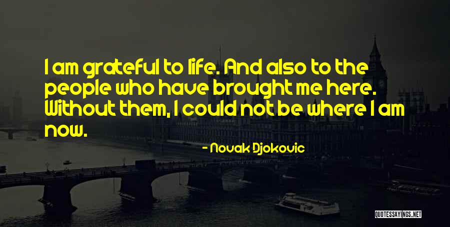 Coraluzzo Lester Quotes By Novak Djokovic Coraluzzo Lester Quotes By Novak Djokovic