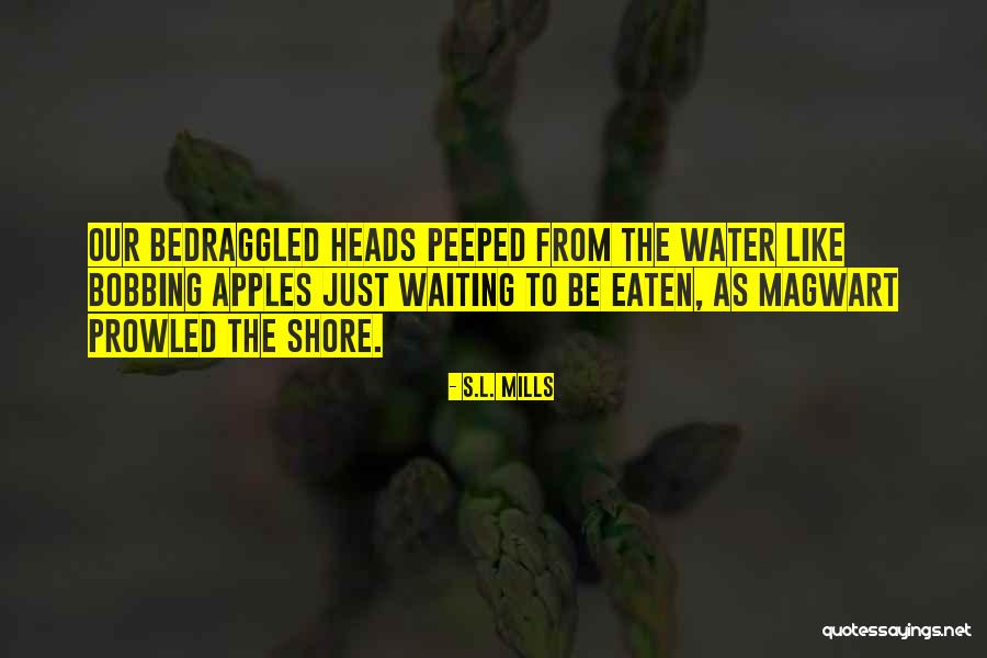 Corashoes Quotes By S.L. Mills Corashoes Quotes By S.L. Mills