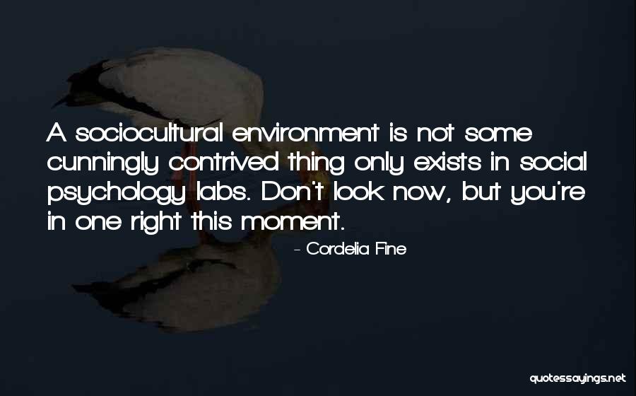 Cordelia Fine Quotes 107568