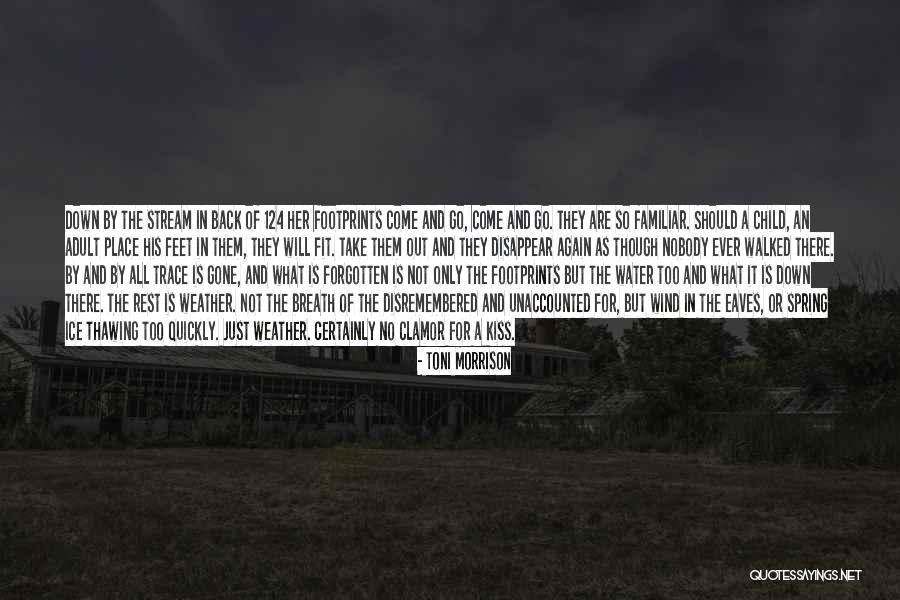 Corderita Quotes By Toni Morrison Corderita Quotes By Toni Morrison