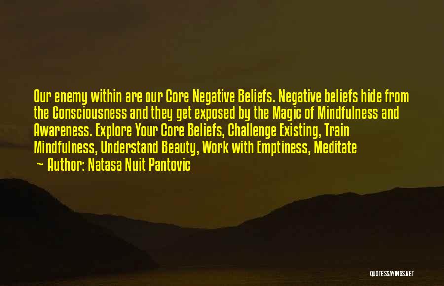 Core Beliefs Quotes By Natasa Nuit Pantovic