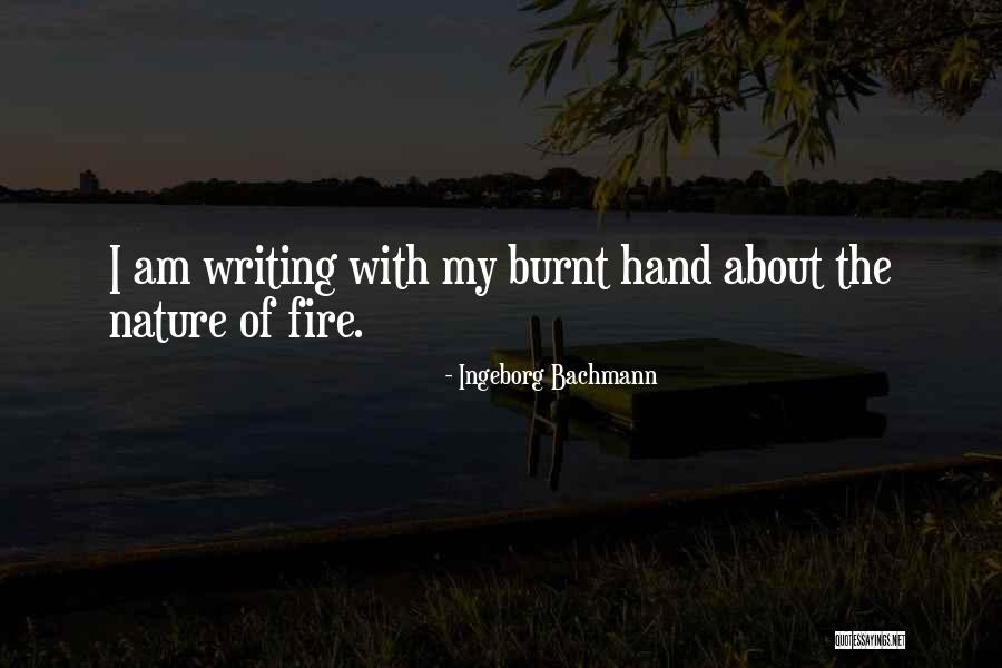 Coreopsis Verticillata Quotes By Ingeborg Bachmann Coreopsis Verticillata Quotes By Ingeborg Bachmann