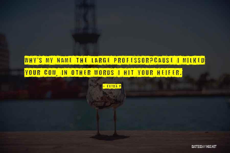 Cores Primarias Quotes By Extra P