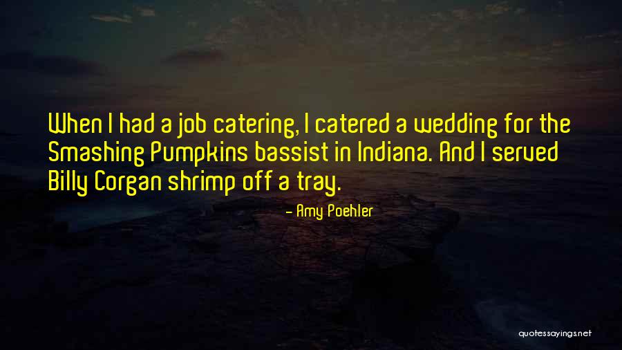 Corgan Quotes By Amy Poehler Corgan Quotes By Amy Poehler