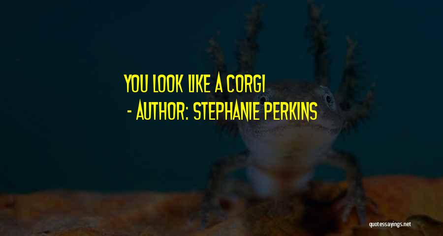 Corgi Quotes By Stephanie Perkins