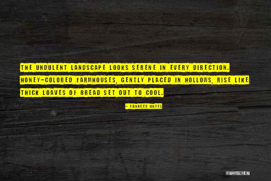 Coriano Bloc Quotes By Frances Mayes Coriano Bloc Quotes By Frances Mayes