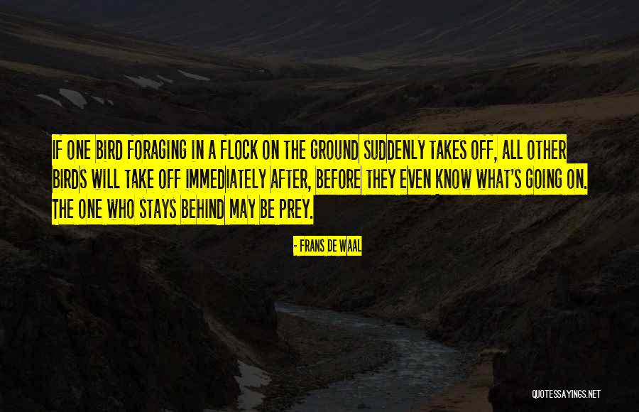 Corielli Quotes By Frans De Waal Corielli Quotes By Frans De Waal