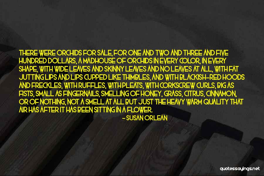 Corkscrew Quotes By Susan Orlean Corkscrew Quotes By Susan Orlean