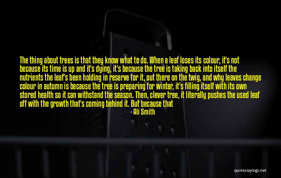 Corky Life Goes On Quotes By Ali Smith Corky Life Goes On Quotes By Ali Smith